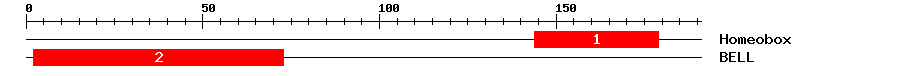 Signature Domain