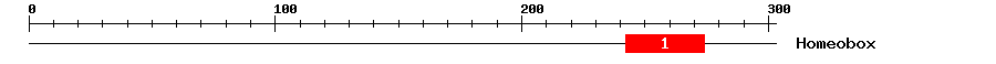Signature Domain