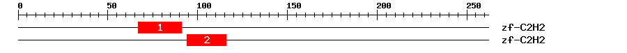 Signature Domain