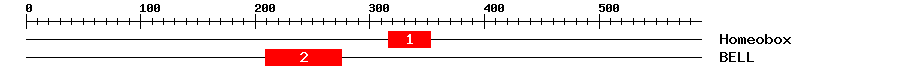 Signature Domain