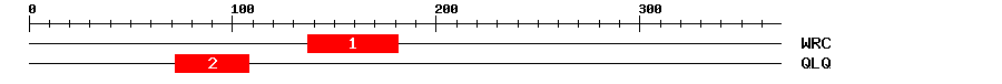 Signature Domain