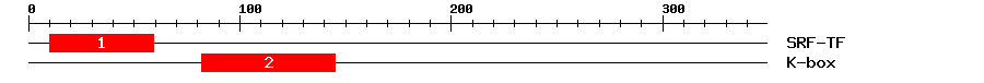 Signature Domain