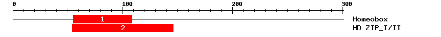 Signature Domain
