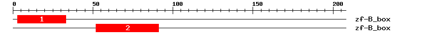 Signature Domain