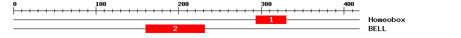 Signature Domain