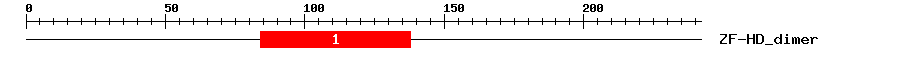 Signature Domain