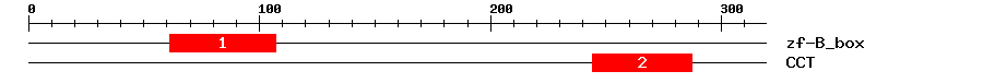 Signature Domain
