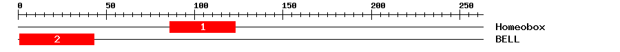 Signature Domain