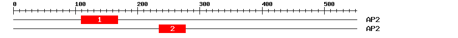 Signature Domain