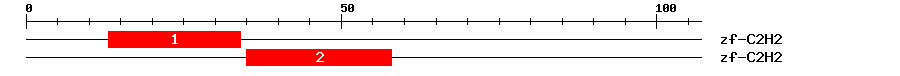 Signature Domain