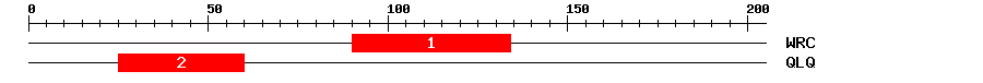 Signature Domain