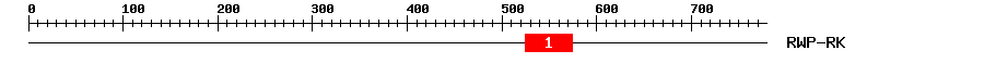 Signature Domain