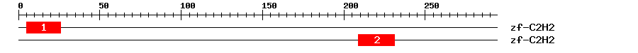 Signature Domain