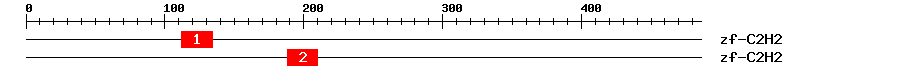 Signature Domain