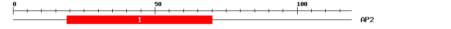 Signature Domain