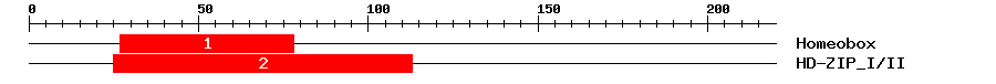 Signature Domain