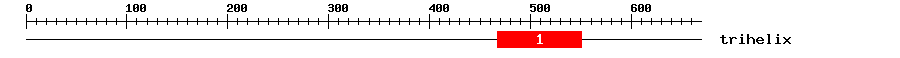 Signature Domain