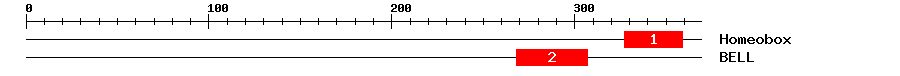 Signature Domain