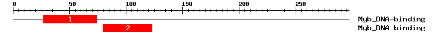 Signature Domain