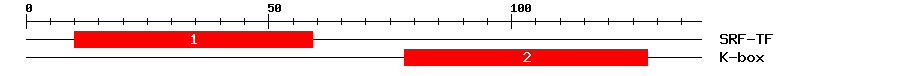 Signature Domain