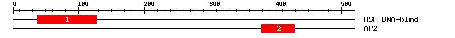 Signature Domain