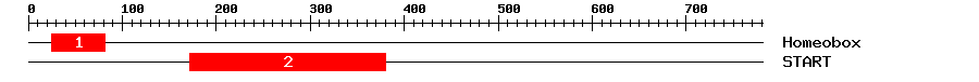 Signature Domain