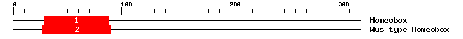 Signature Domain