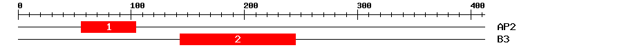 Signature Domain