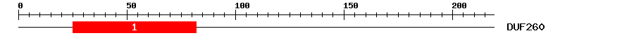 Signature Domain