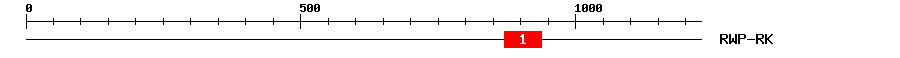 Signature Domain