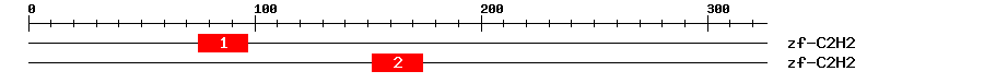 Signature Domain