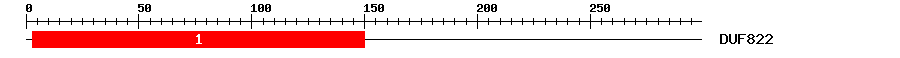 Signature Domain