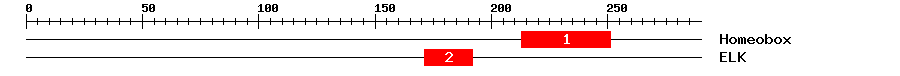 Signature Domain