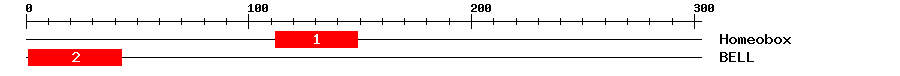 Signature Domain