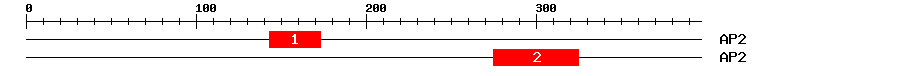 Signature Domain