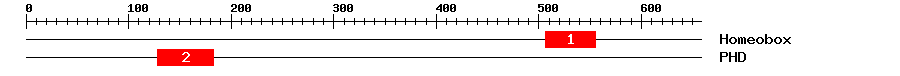 Signature Domain