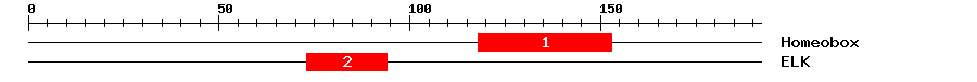 Signature Domain