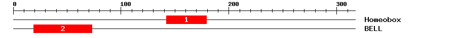 Signature Domain
