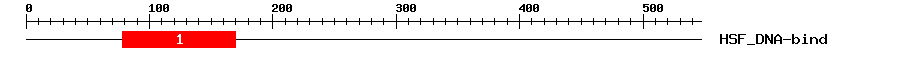 Signature Domain