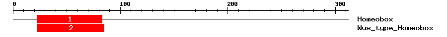 Signature Domain
