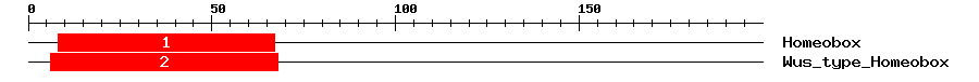 Signature Domain