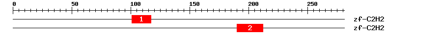 Signature Domain