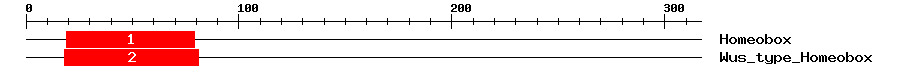 Signature Domain