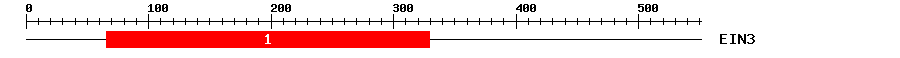 Signature Domain