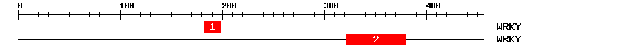 Signature Domain