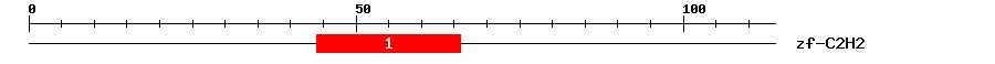Signature Domain