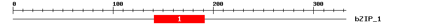 Signature Domain