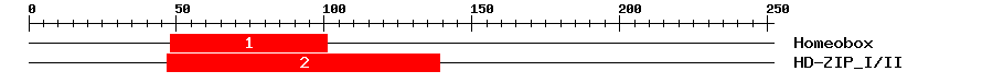 Signature Domain