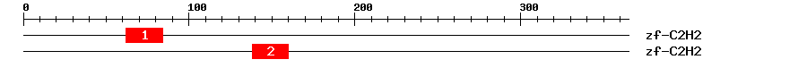 Signature Domain