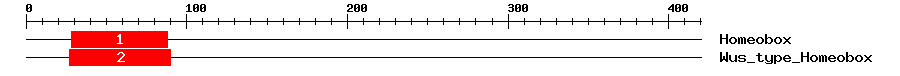 Signature Domain
